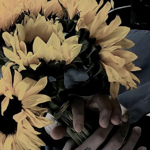  دنبال مرگم چون زندگی سخته