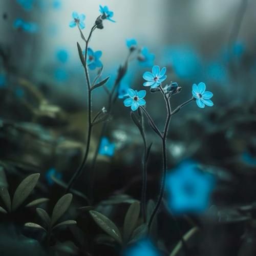 دارک ریمیکس چشمات