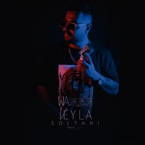 محمدرضا سلطانی هی واویلا