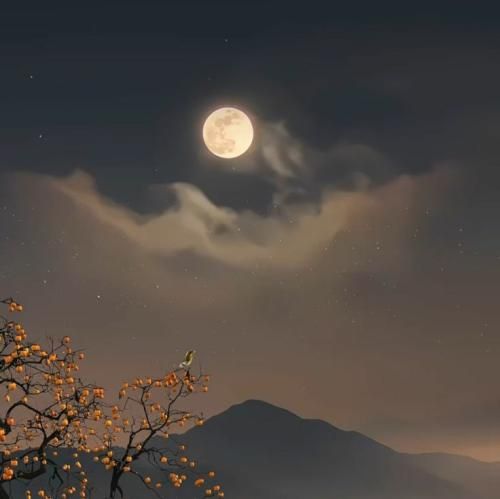 علیرضا محمد یاری کزه کز نکه چاو مس گیان وای