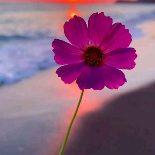  صدام میگیره از حرص خارج میشم از دسترس خوب هست بد هم هستش