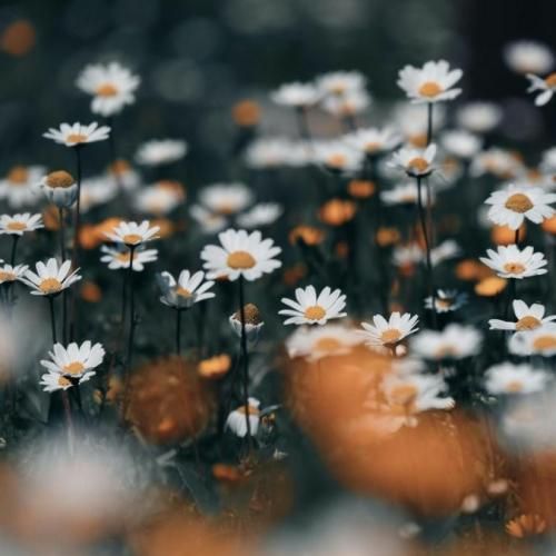 با کاراشون روانیت میکنن میپرسن چرا با صدای پسر