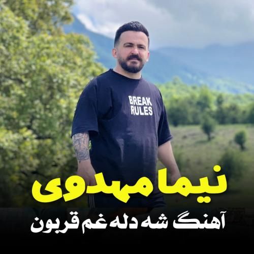 نیما مهدوی شه دل غم غربون