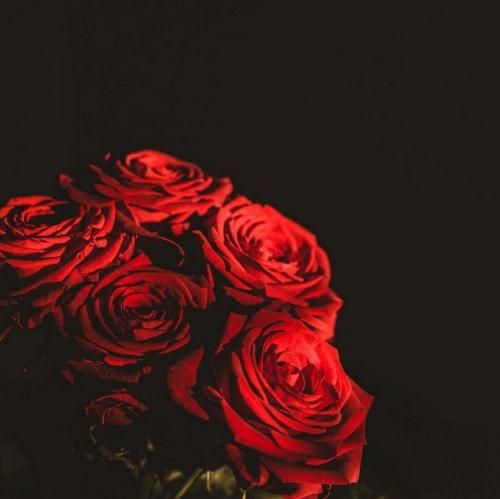  رو قلب من اثر نذاشت بدون تو دنیای من انگار تماشاگر نداشت