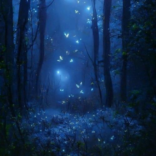  بده حال خیابونا غمگینه مثه سوز گیتار