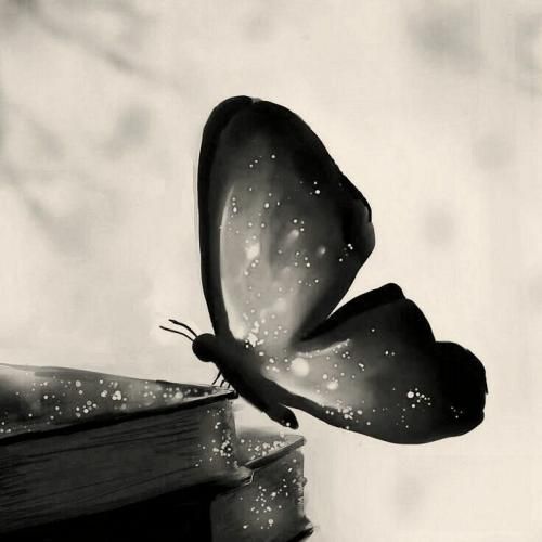 به جهنم که شکست بغض من از فکر تو ترند اینستایی