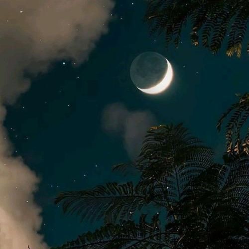  میبینمت یادم میره اکسام