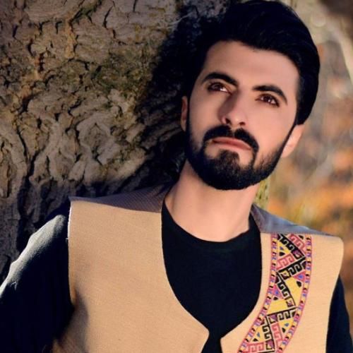 حمید قویدل دل نداشتی