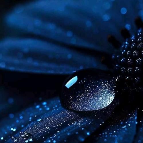  پیش من گریه نکن آخه من روی چشمای تو حساسم