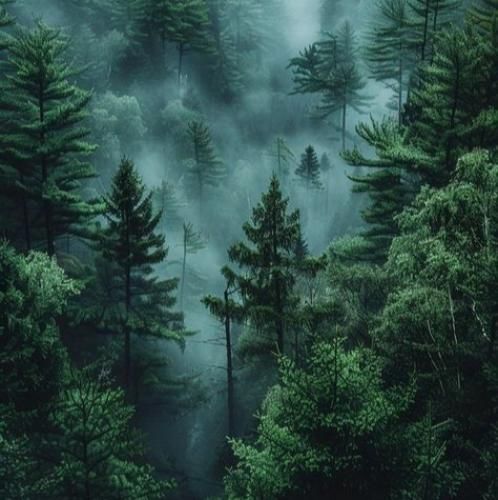  افغانی تو از کابل مه هستوم از لوگر