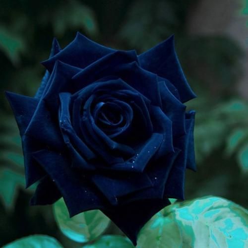 دیگه روال نی حالم مگه جز چشات چی دارم