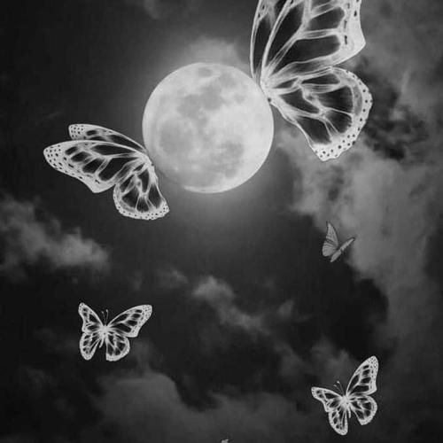 Melike Şahin Samatyada İlk Rakı