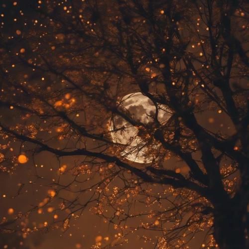 دنیای این روزای من هم قد تن پوشم شده با صدای دختر اینستایی