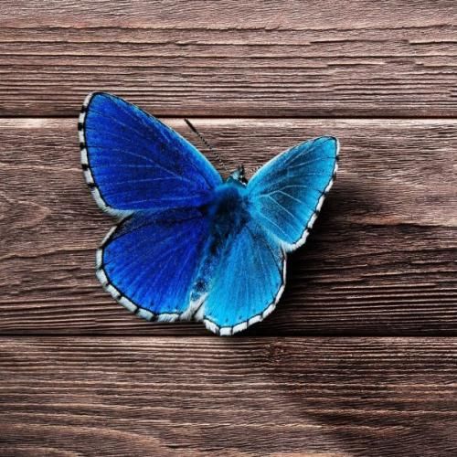  فرمت شده عکسای فلش برعکس شده قاب عکس