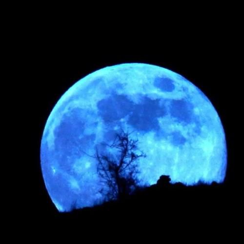 میخواستم از رازم بگم دیدم تموم رازمی هوش مصنوعی