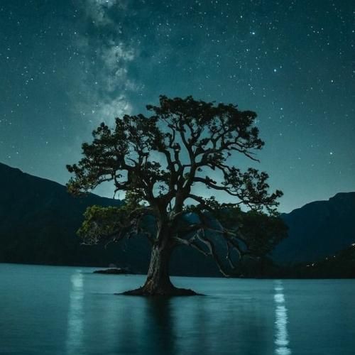  بیا بخون عزیزم صدات برام چه زیباست قشنگیه تو برام