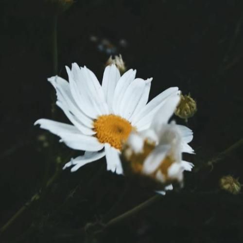  لج درمیاری کلاس میزاری وفا نداری