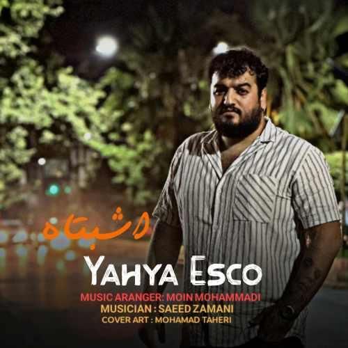 یحیا اسکو اشتباه