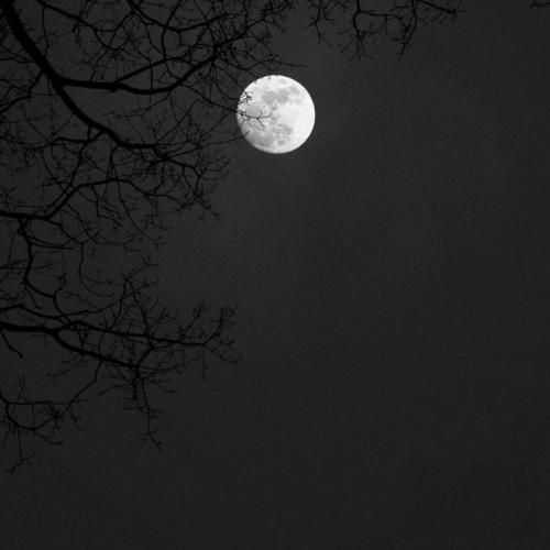 نشنیدی هر چی صدات کردم درمیری از کی