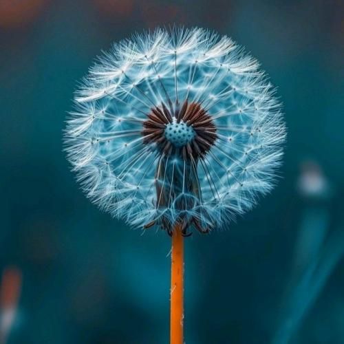 بزن همه چیو بپاچ اصلا نمیاد صدا گریه هات اصلا