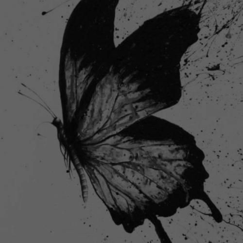 ترکی میشکنی بال پروازمو از لجت پرواز میکنم ترند اینستایی