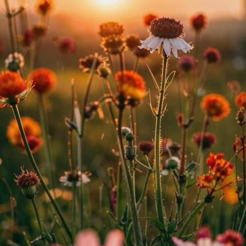 دیدمت فرشته ی عذاب من جواب انتخابم را با صدای دختر