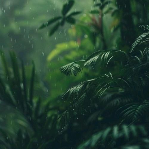 کیان ریمیکس از صدامو داری بگی تا دمش گرمم میزنه بارون