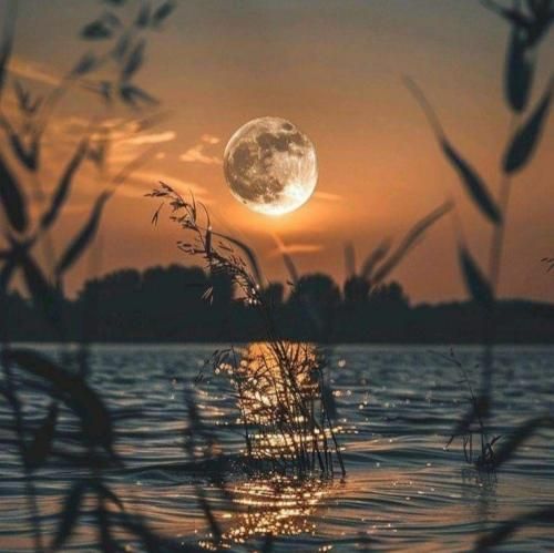 دریم رپ الکی