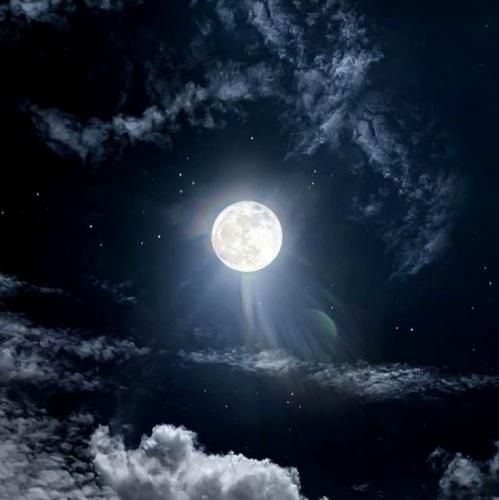  مث حماس پی حماسه میزنیمت شرط چی یه چی بماسه