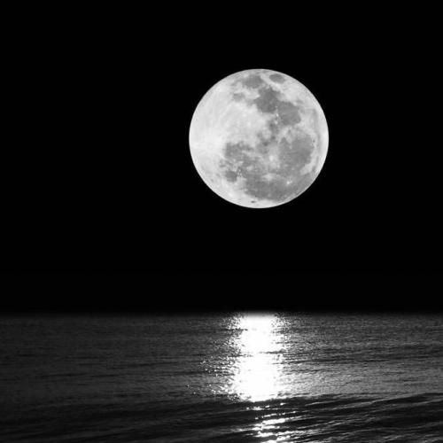 من باختم با اینکه شانس داشتم با اینکه آس داشتم