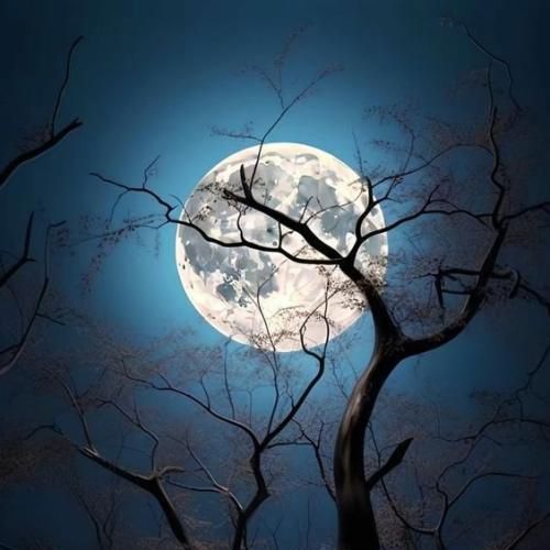 شدی رفیق نیمه رام باعث شدی خالی شه زیر پام با صدای دختر و پسر