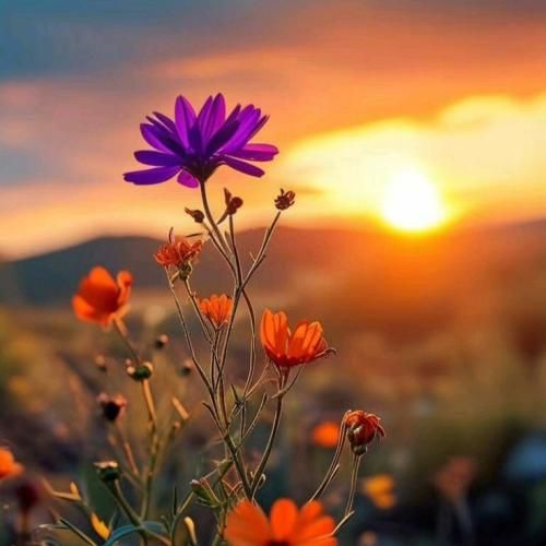 هنوز هر جا که میری بهونمو میگیری نمیتونی اینو انکار کنی