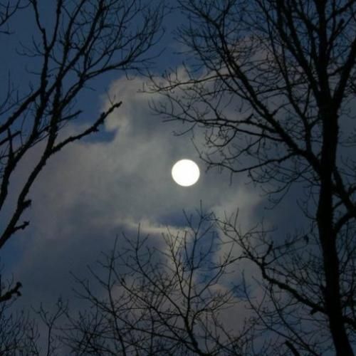 بی ال اچ ریمیکس تیریپ ما