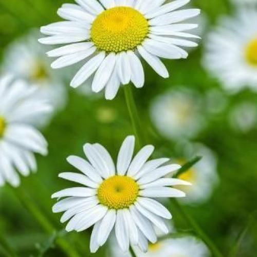 پوستمون مثل رنگ شب تیره وقتی ترک میدم