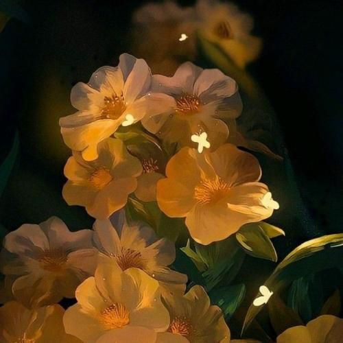 دنبال پولم که بشم بهتر اونی که زد مختو