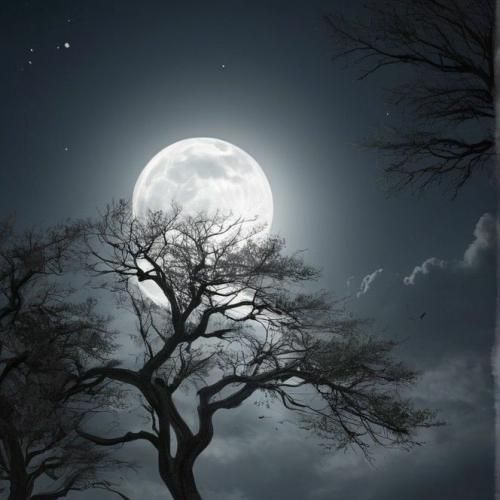 هی نقش خودتو توی خوابم میکشی تو کدوم رویا