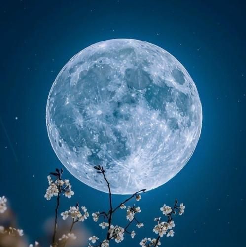 دستمو ول نکن که زمین میخورم تو بری از همه آدما با صدای دختر