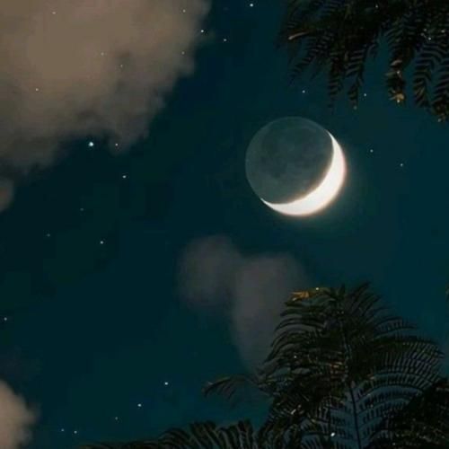  بیست بیستو چهار تریپمون اولد هنو قیمتمون تند