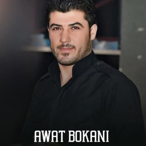 آوات بوکانی کرگ زیرک