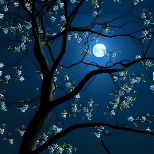 وای بد شده با من چون از حد و مرز رد شده کارم