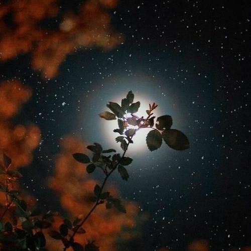 تو مثل موادی من معتادتم
