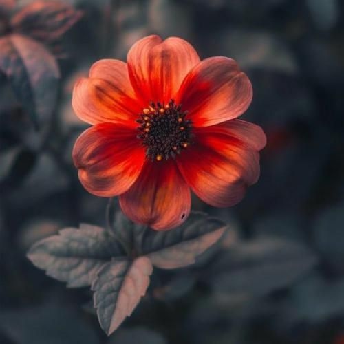 پشت گوشی فکر میکنی فانی