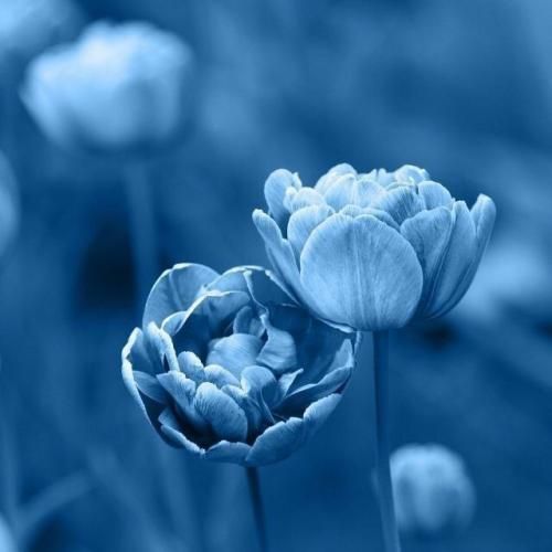 میخوام تنها باشم تنهایی خوشگلتره شما خوش باشید با صدای دختر