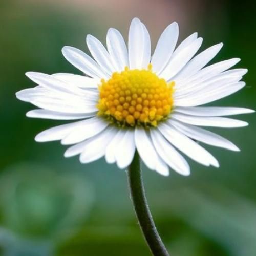 هی جان بسر شدم که تو را آرزو کنم