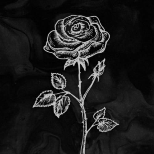 فاما شب