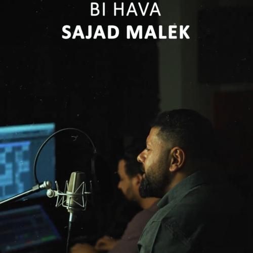 سجاد ملک بی هوا