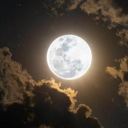 متنفر ع اول مهر اون زنگای چرت با صدای دختر