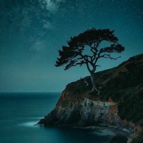 محبوب قلبم حالم خرابه مورفین شده عکس اونی که با صدای مرد