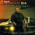 دانلود آهنگ پاشو بیا از رضا صادقی دانلود آهنگ پاشو بیا از رضا صادقی