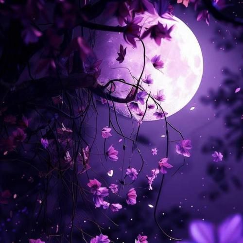 جلوت من بی اسلحم میکنی تهدیدم که چی